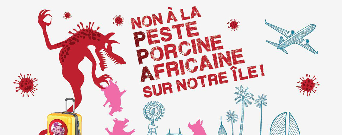 peste porcine