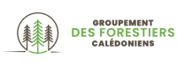 ctb logo